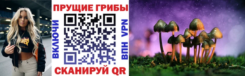 Псилоцибиновые грибы Psilocybine cubensis  наркота  Катайск 